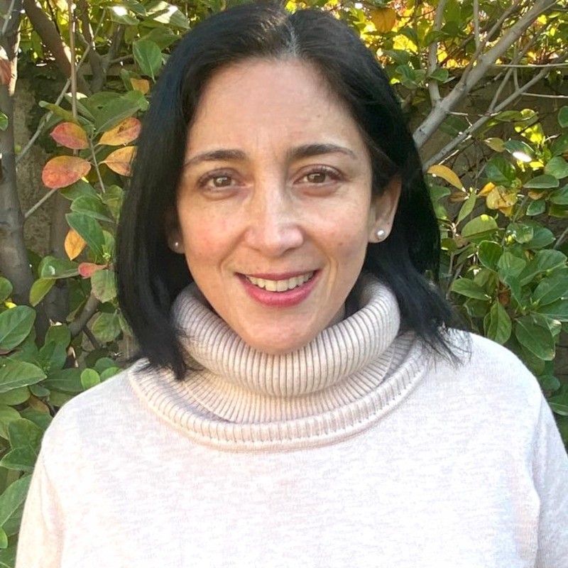 Consuelo Aránguiz Soto — Psicóloga Laboral